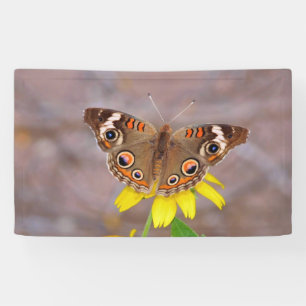 Beautiful Butterfly on Yellow Flower  Banner