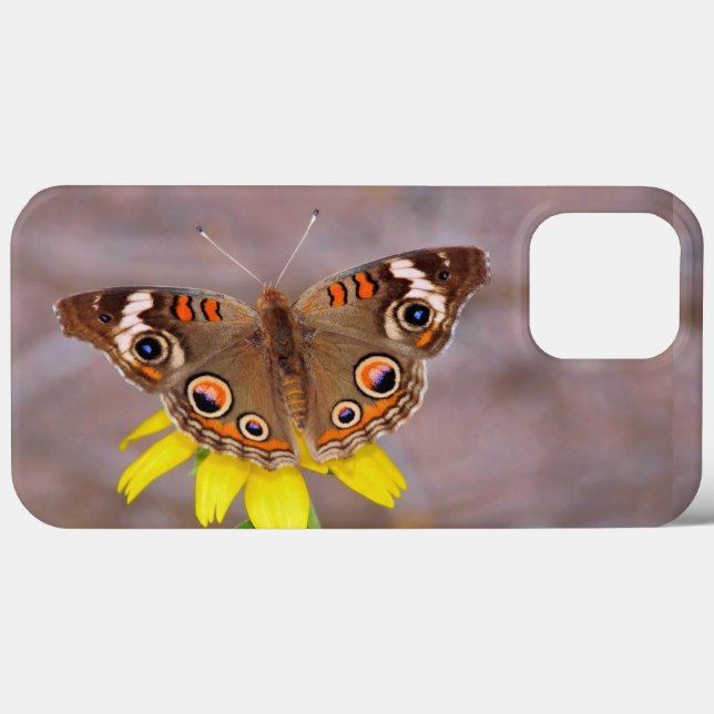 Beautiful Butterfly on Yellow Flower  Case-Mate iPhone Case (Back (Horizontal))