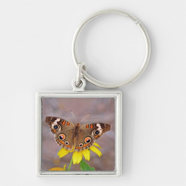 Beautiful Butterfly on Yellow Flower  Key Ring (Front)