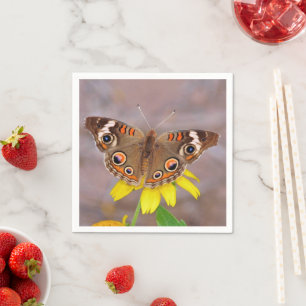 Beautiful Butterfly on Yellow Flower  Napkin