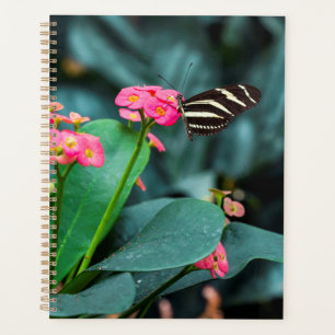 Beautiful butterfly  planner