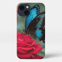Beautiful Butterfly Red Roses - Stunning 