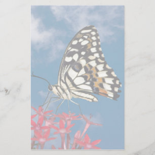 Beautiful Butterfly Stationery
