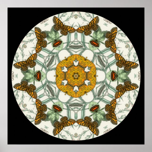 Beautiful  butterfly wings mandala  poster (Front)