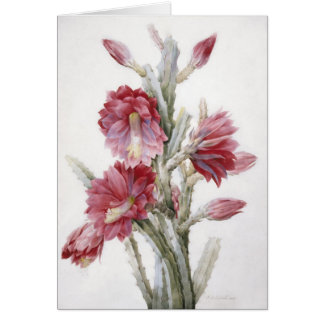 Beautiful Cactus Bloom Watercolor Art