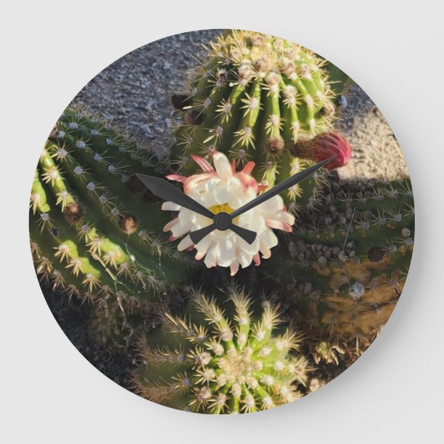 Beautiful Cactus Flower Large Clock (Front)
