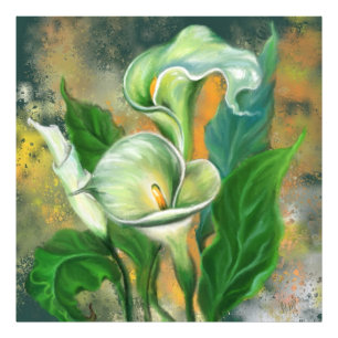 Beautiful Calla Lily Flower - Migned Art Drawing Photo Print
