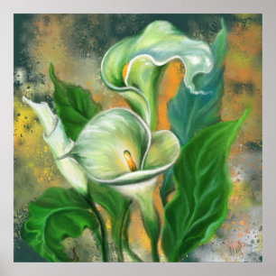 Beautiful Calla Lily Flower - Migned Art Drawing Poster