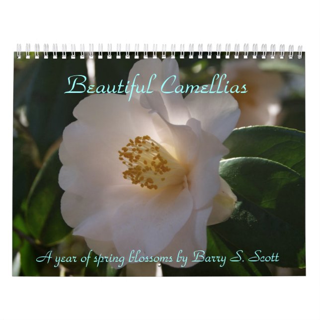 Beautiful Camellias calendar (Cover)