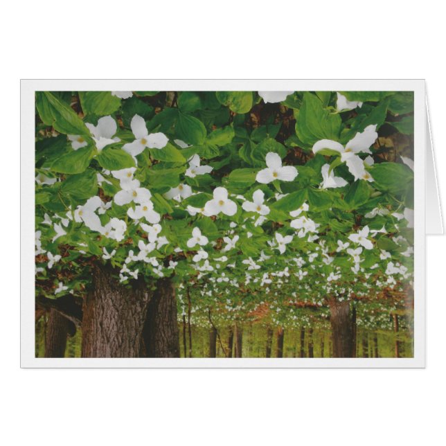Beautiful Canada Landscape Niagara: LOWPRICE Gift (Front Horizontal)
