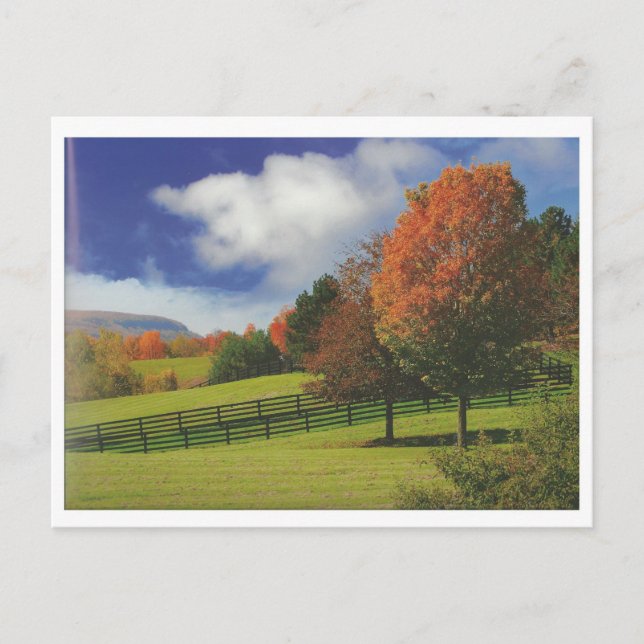 Beautiful Canada Landscape Niagara: LOWPRICE Gift Postcard (Front)