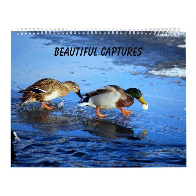 Beautiful Captures Calendar (Cover)