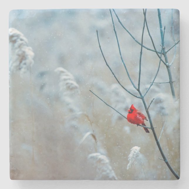 Beautiful Cardinal in the Snow Stone Coaster (Front)