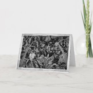 BEAUTIFUL CARDS FOR ALL OCCASIONS