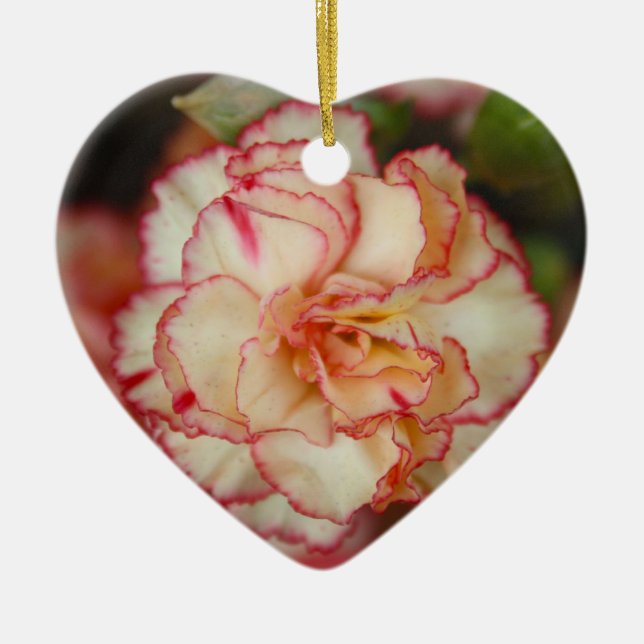 Beautiful Carnation Ornament (Front)