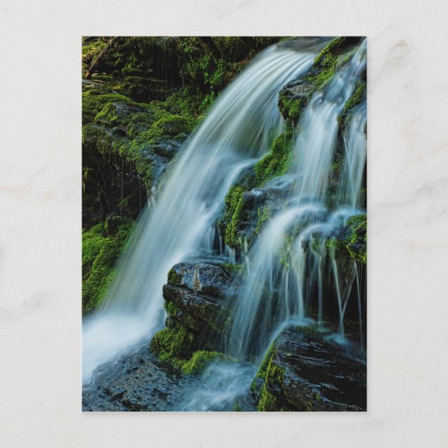 Beautiful Cascade Waterfall Postcard (Front)