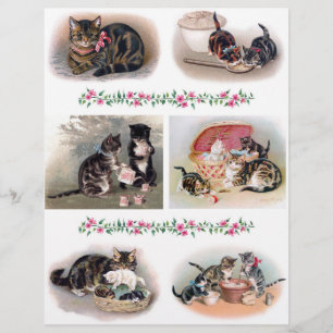 Beautiful Cat and Kitten Illustrations H. Maguire