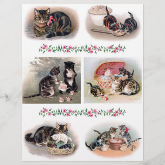 Beautiful Cat and Kitten Illustrations H. Maguire