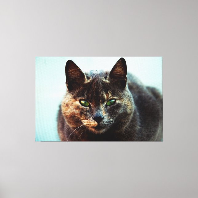 Beautiful cat canvas print (Front)