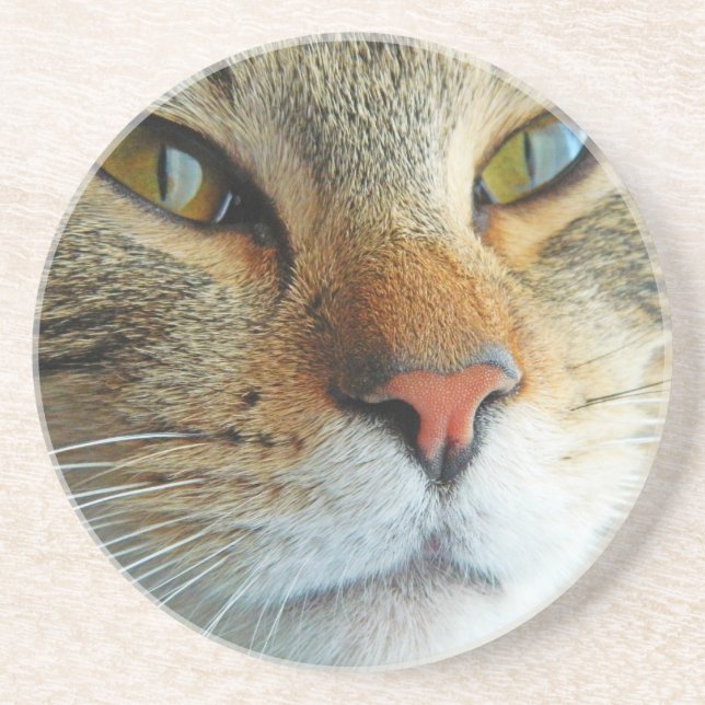 Beautiful Cat Coaster (Front)