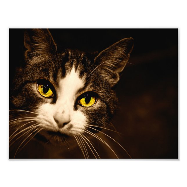 Beautiful Cat Eyes Photo Print (Front)