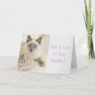Beautiful Cat Just A Note to Say Hello Card
