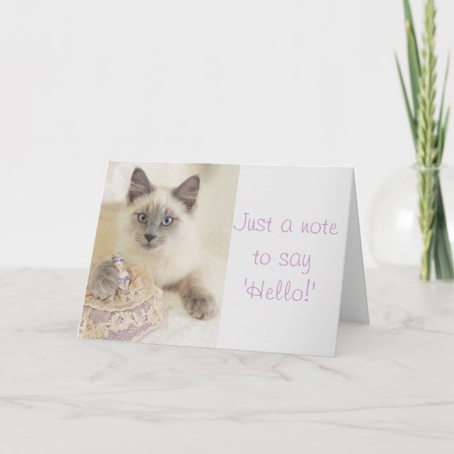 Beautiful Cat Just A Note to Say Hello Card (Front)