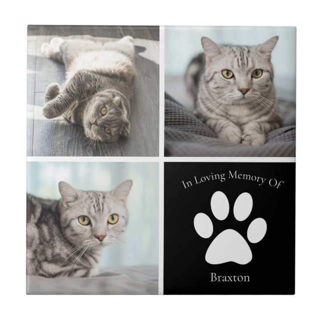 Beautiful Cat Memorial Custom Pet Photo Keepsake Ceramic Tile (Front)