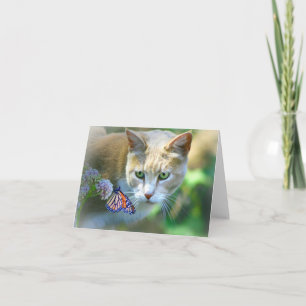 Beautiful Cat Note cards Blank Inside