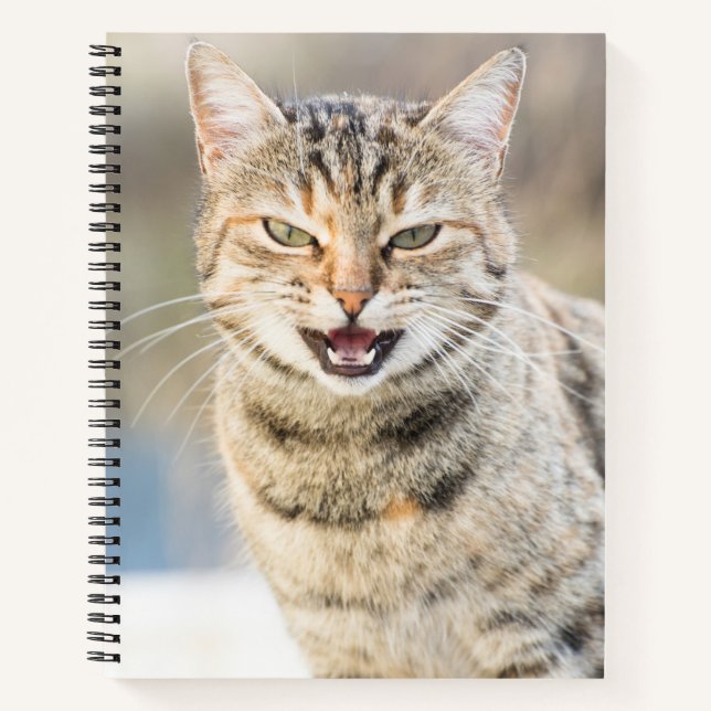 Beautiful cat notebook (Front)