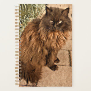 Beautiful cat planner