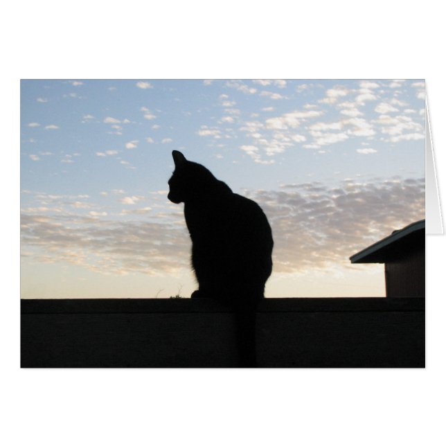 Beautiful cat silhouette at sunset (Front Horizontal)