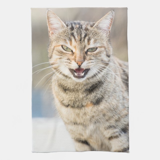 Beautiful cat tea towel (Vertical)