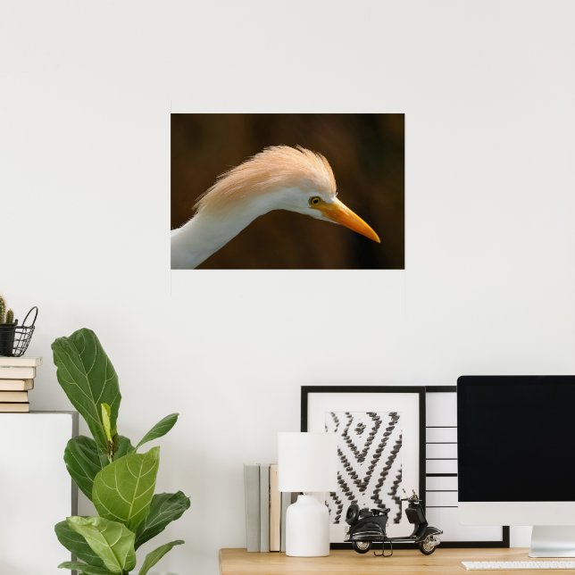 Beautiful cattle egret bird poster (Home Office)