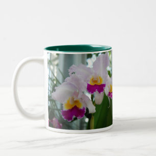 Beautiful Cattleya Orchid Two-Tone Coffee Mug