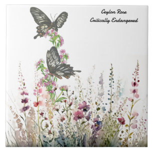 Beautiful Ceylon Rose Hand-painted Butterfly Ceramic Tile