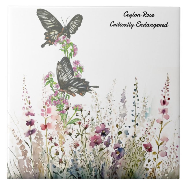 Beautiful Ceylon Rose Hand-painted Butterfly  Ceramic Tile (Front)