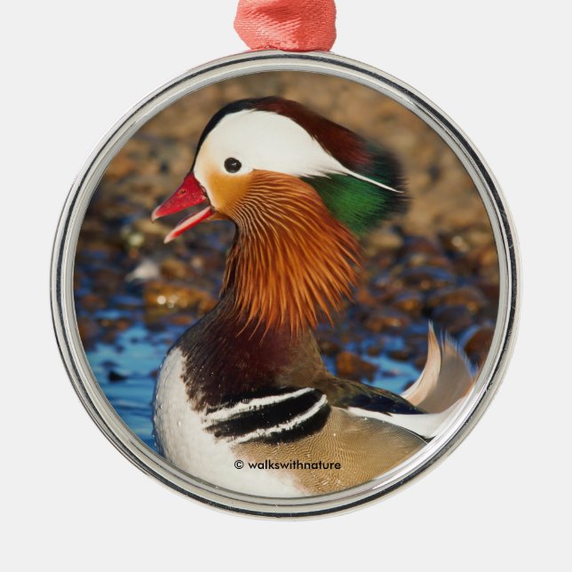 Beautiful Chatty Mandarin Duck on the Rocks Metal Ornament (Front)