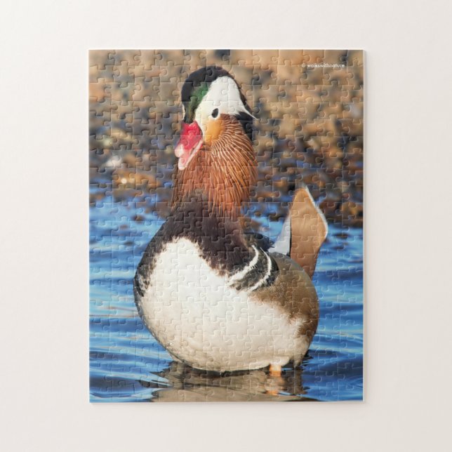 Beautiful Chatty Mandarin Duck on the Shore Jigsaw Puzzle (Vertical)