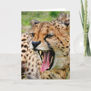 Beautiful Cheetah - Greeting Card