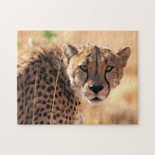 Beautiful Cheetah Portrait, Jigsaw Puzzle