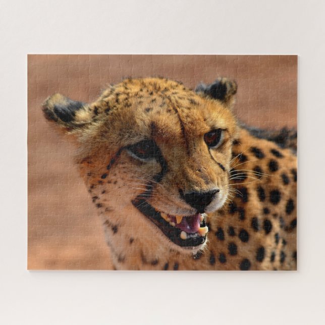 Beautiful Cheetah Predator, Jigsaw Puzzle (Horizontal)
