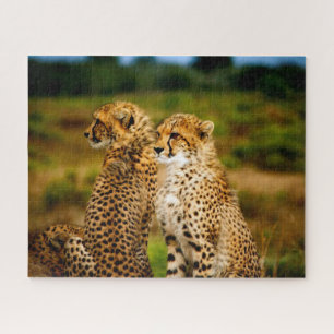 Beautiful Cheetah Siblings, Jigsaw Puzzle