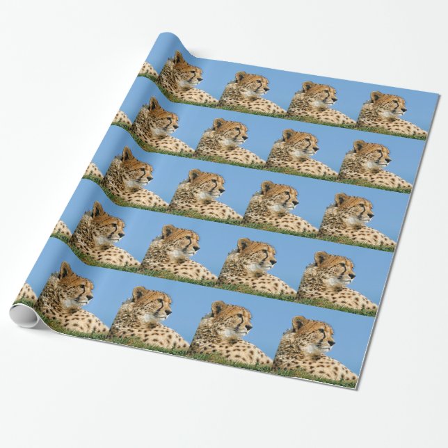 Beautiful Cheetah Wrapping Paper (Unrolled)