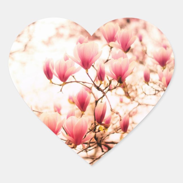 Beautiful Cherry Blossoms - Central Park Heart Sticker (Front)