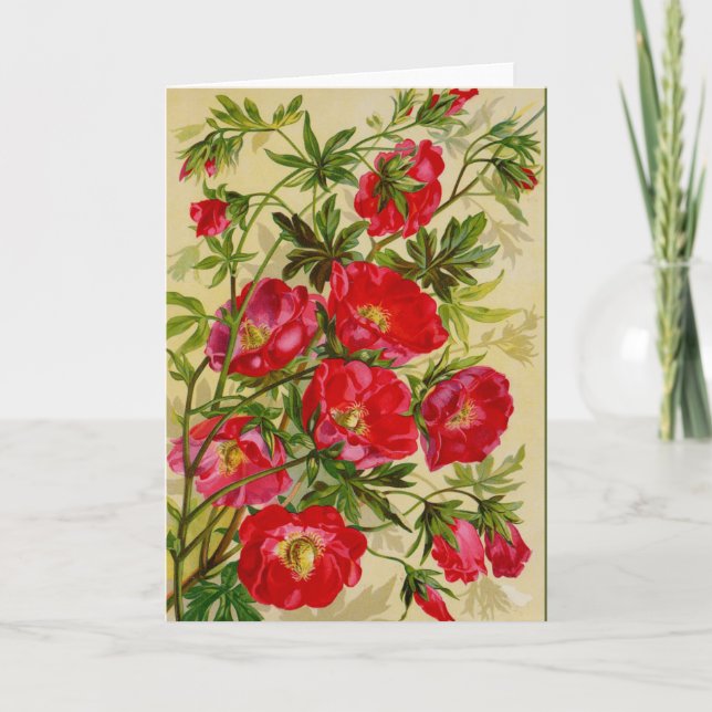 Beautiful Cherry Red Wild Roses Notecards (Front)