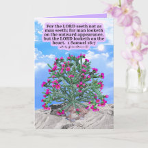 Beautiful Cholla Cactus Scripture 1 Samuel 16:7