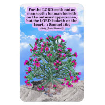 Beautiful Cholla Cactus Scripture 1 Samuel 16:7