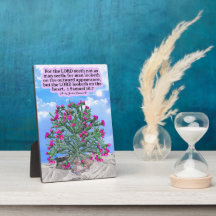 Beautiful Cholla Cactus Scripture 1 Samuel 16:7