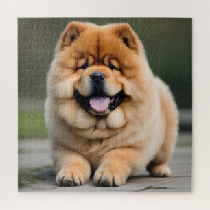 Beautiful Chow Chow Jigsaw Puzzle